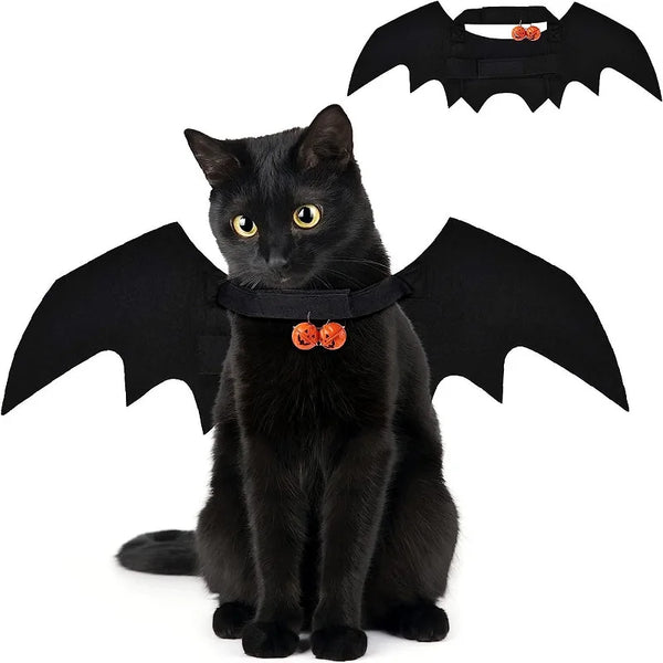 Ailes de chauve-souris
