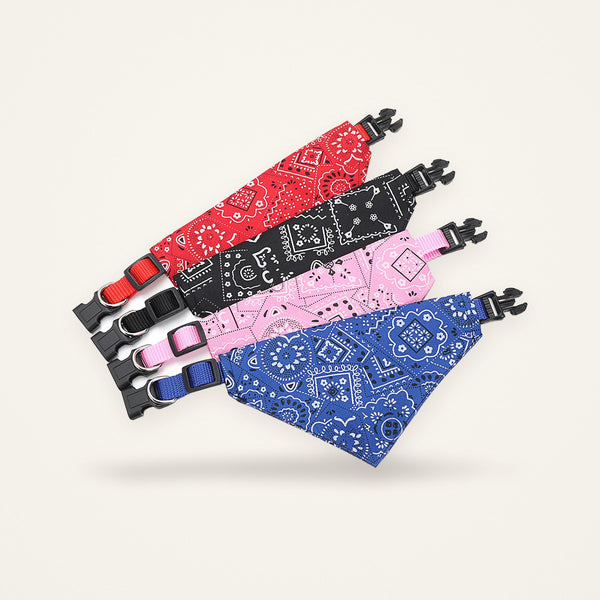 Bandana paisley
