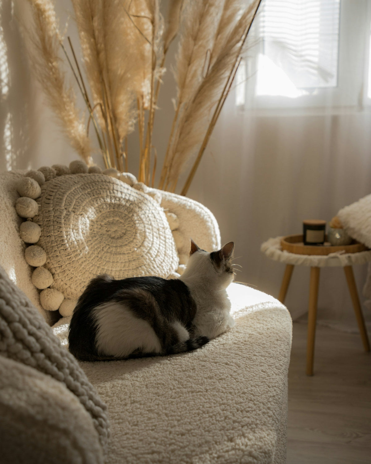Chat noir et blanc lové dans un fauteuil en bouclette
