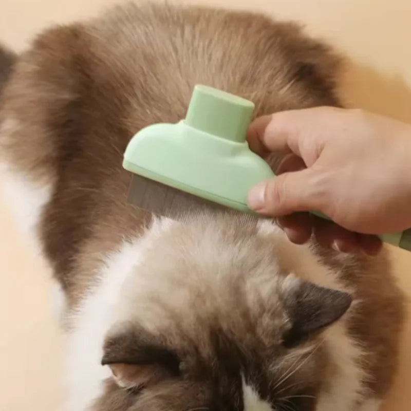 Caresse, brosse auto-nettoyante