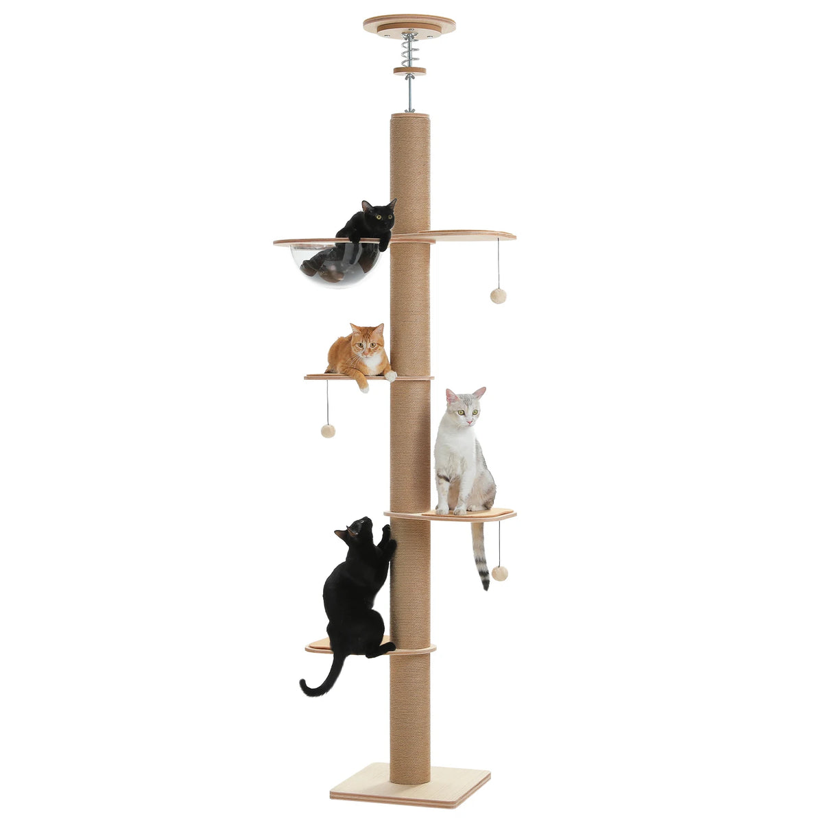 Canopée, arbre à chat du sol au plafond en bois