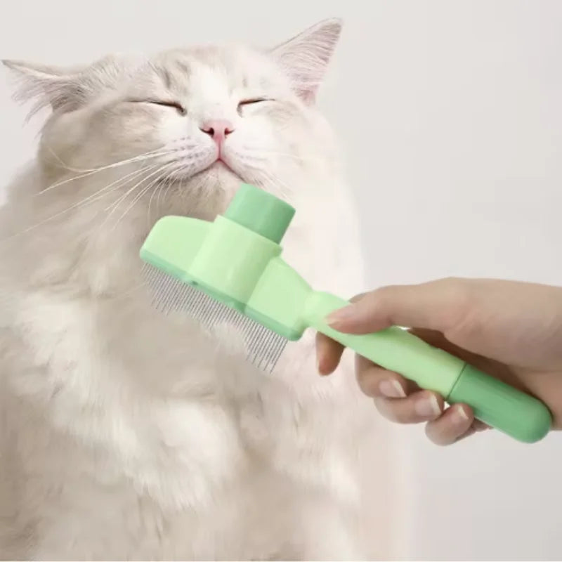 Caresse, brosse auto-nettoyante