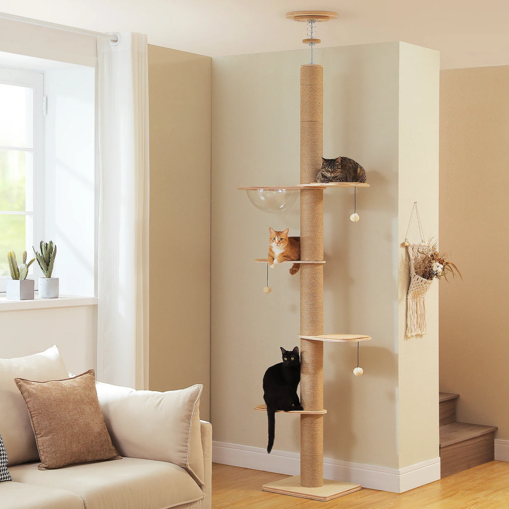 Canopée, arbre à chat du sol au plafond en bois