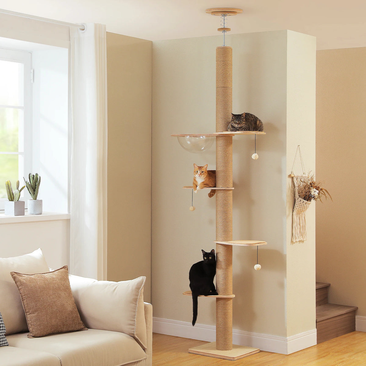 Canopée, arbre à chat du sol au plafond en bois