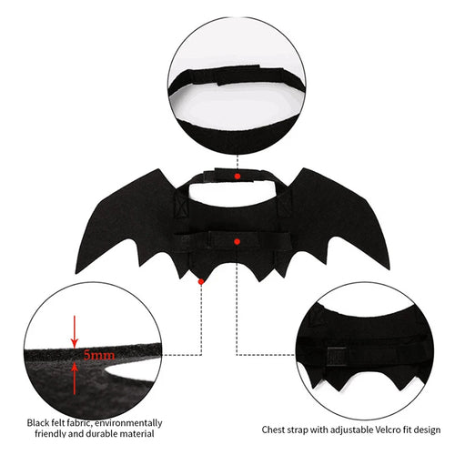 Ailes de chauve-souris
