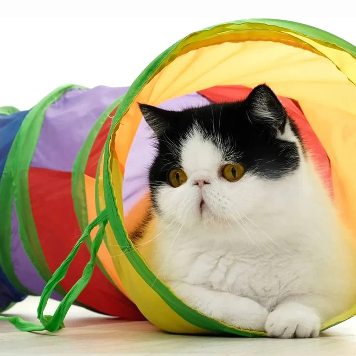 Tunnel arc-en-ciel pliable