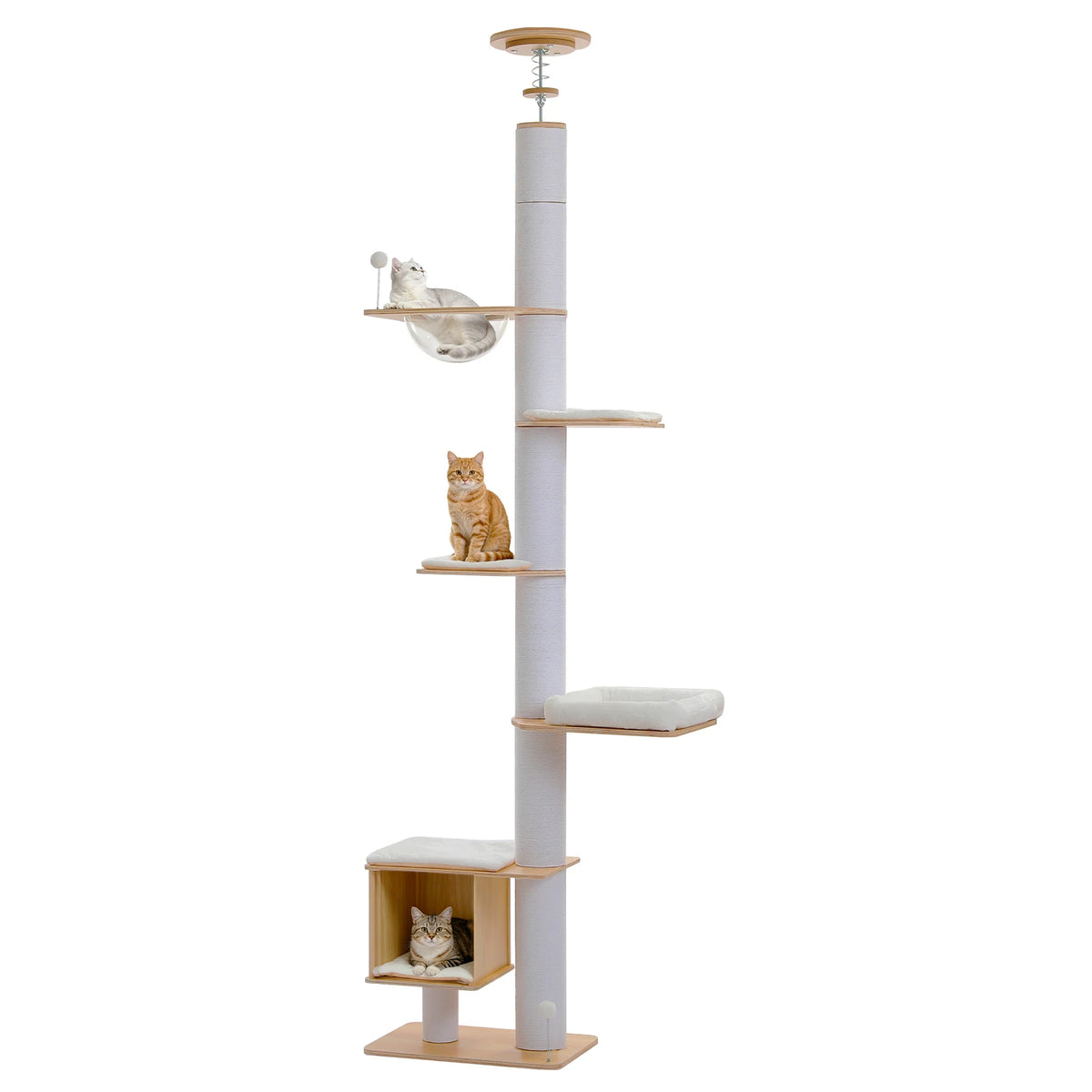 Canopée, arbre à chat du sol au plafond en bois