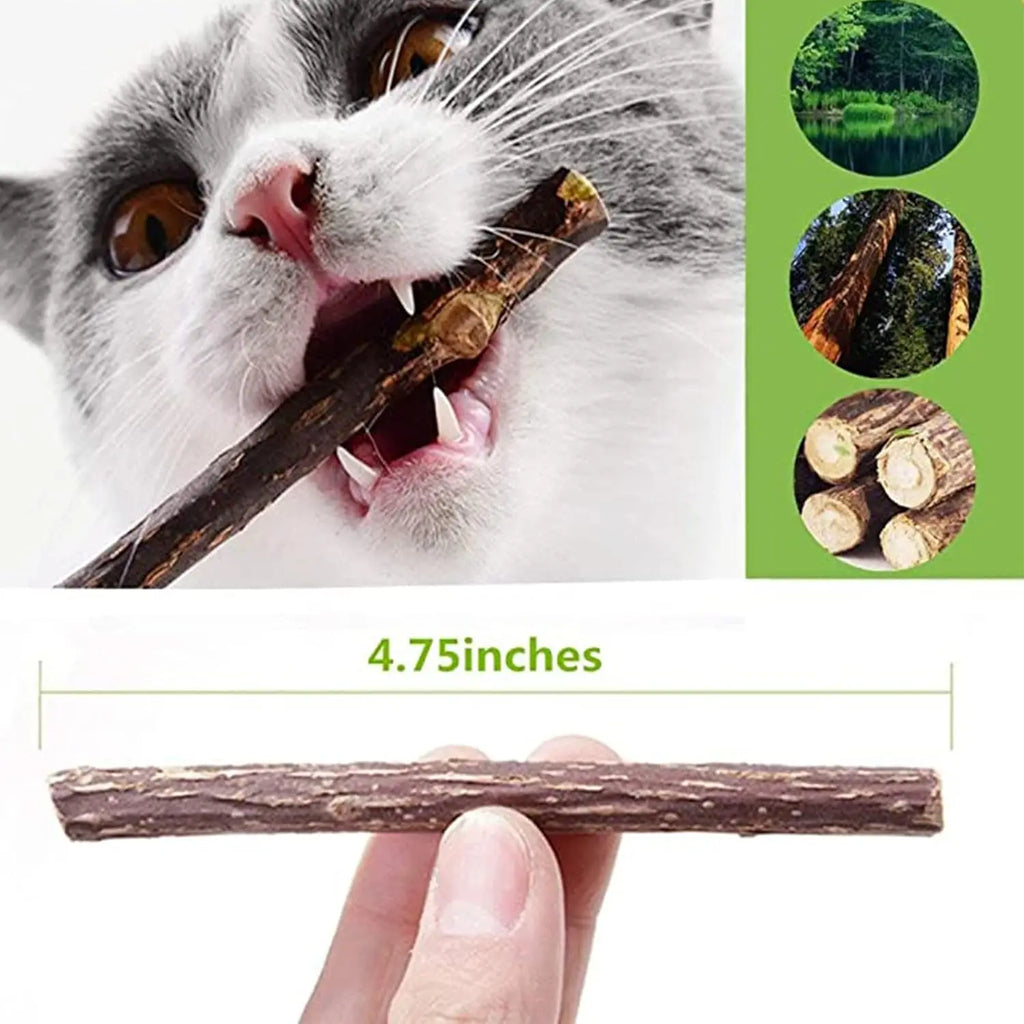 La Recharge : bâtonnets de silvervine — Miaoutfit