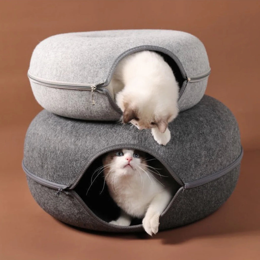 Deux chats dans des donuts en feutre