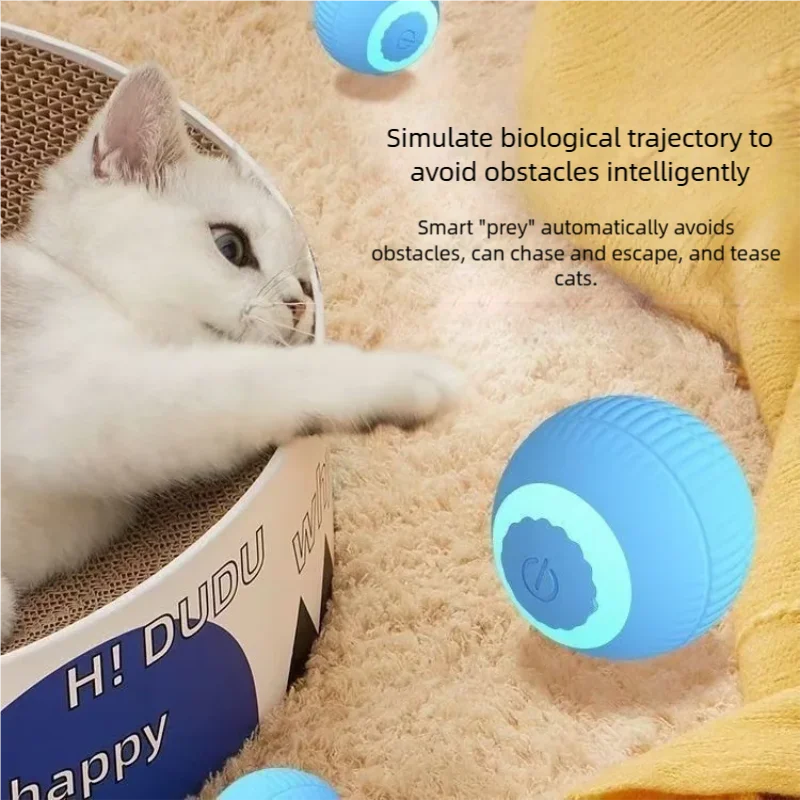 Chat qui joue avec la balle