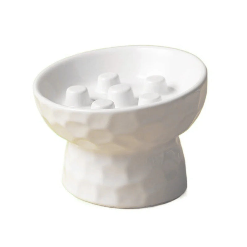 Lento raised slow-feeder bowl