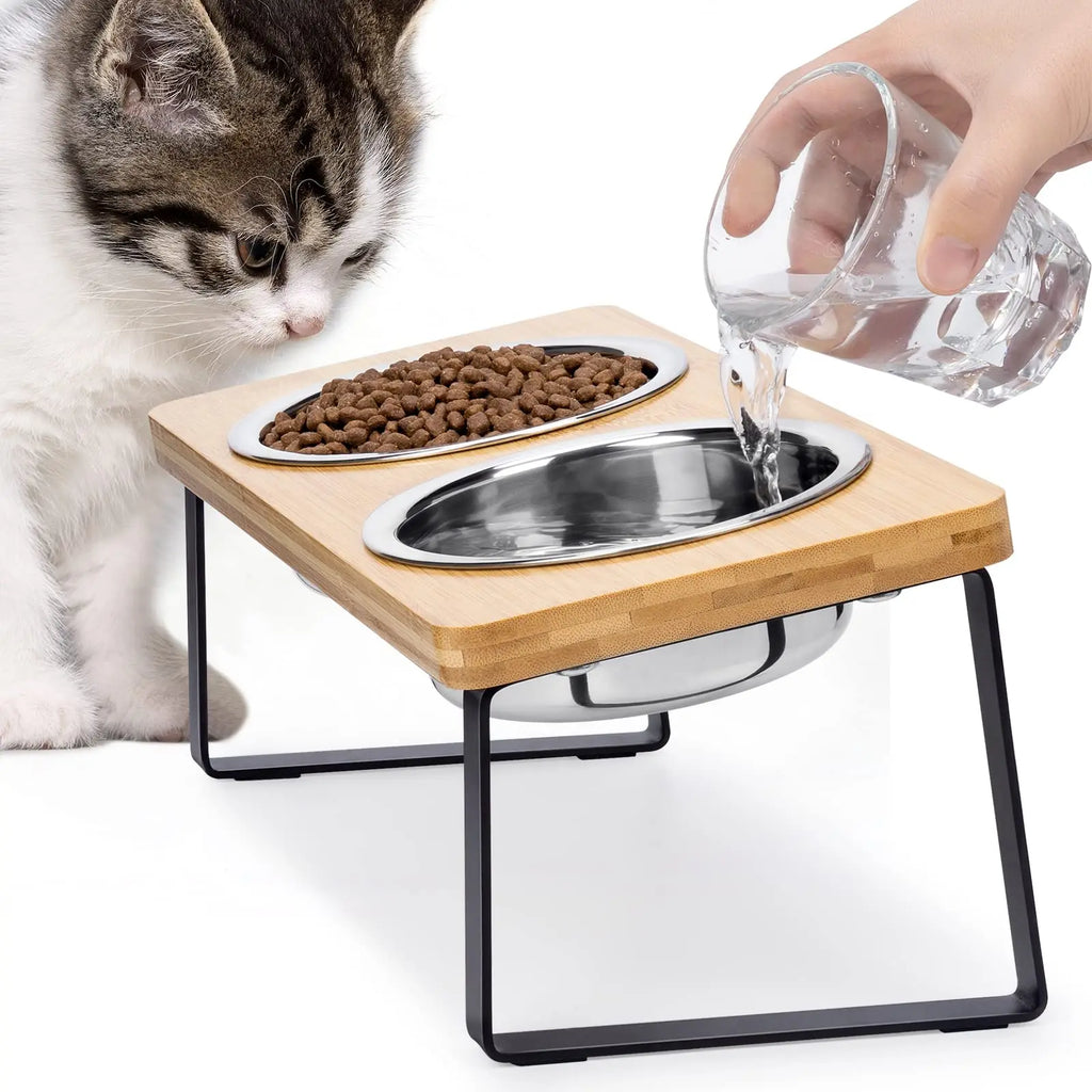 Chat qui mange dans la station repas Festin
