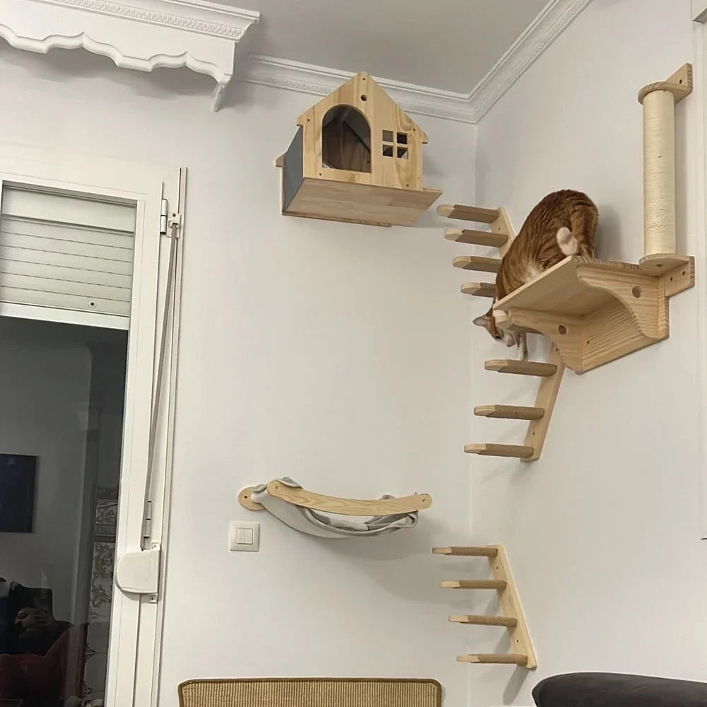 Chat sur un parcours mural en bois