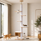 Canopée, arbre à chat du sol au plafond en bois