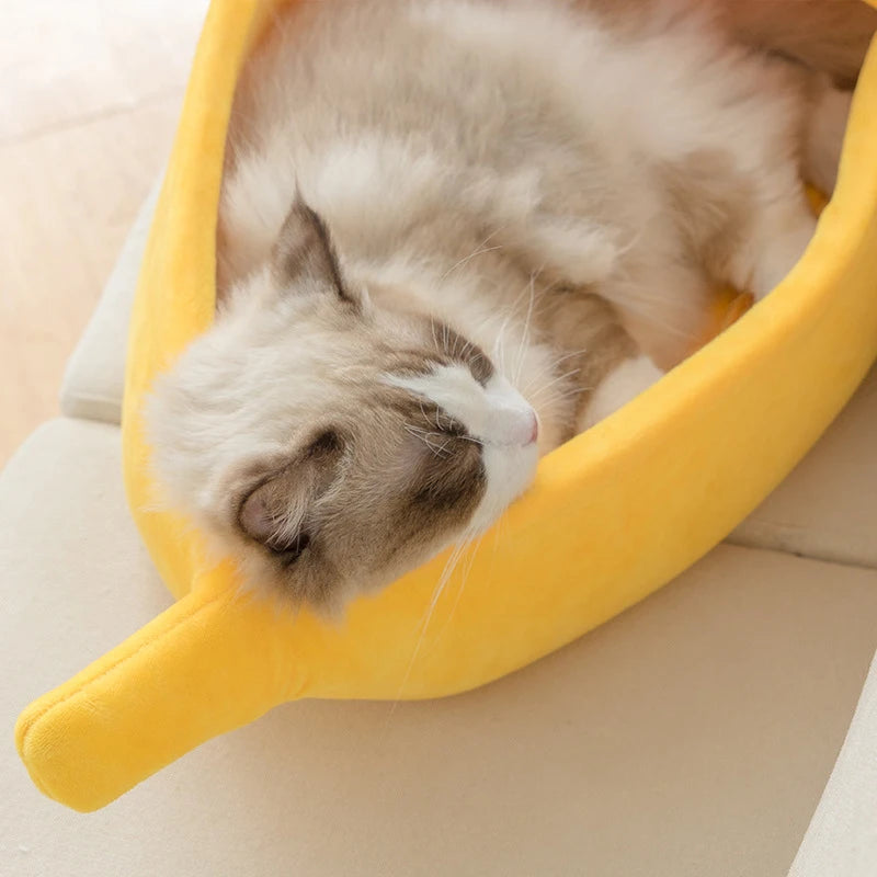 Lit banane