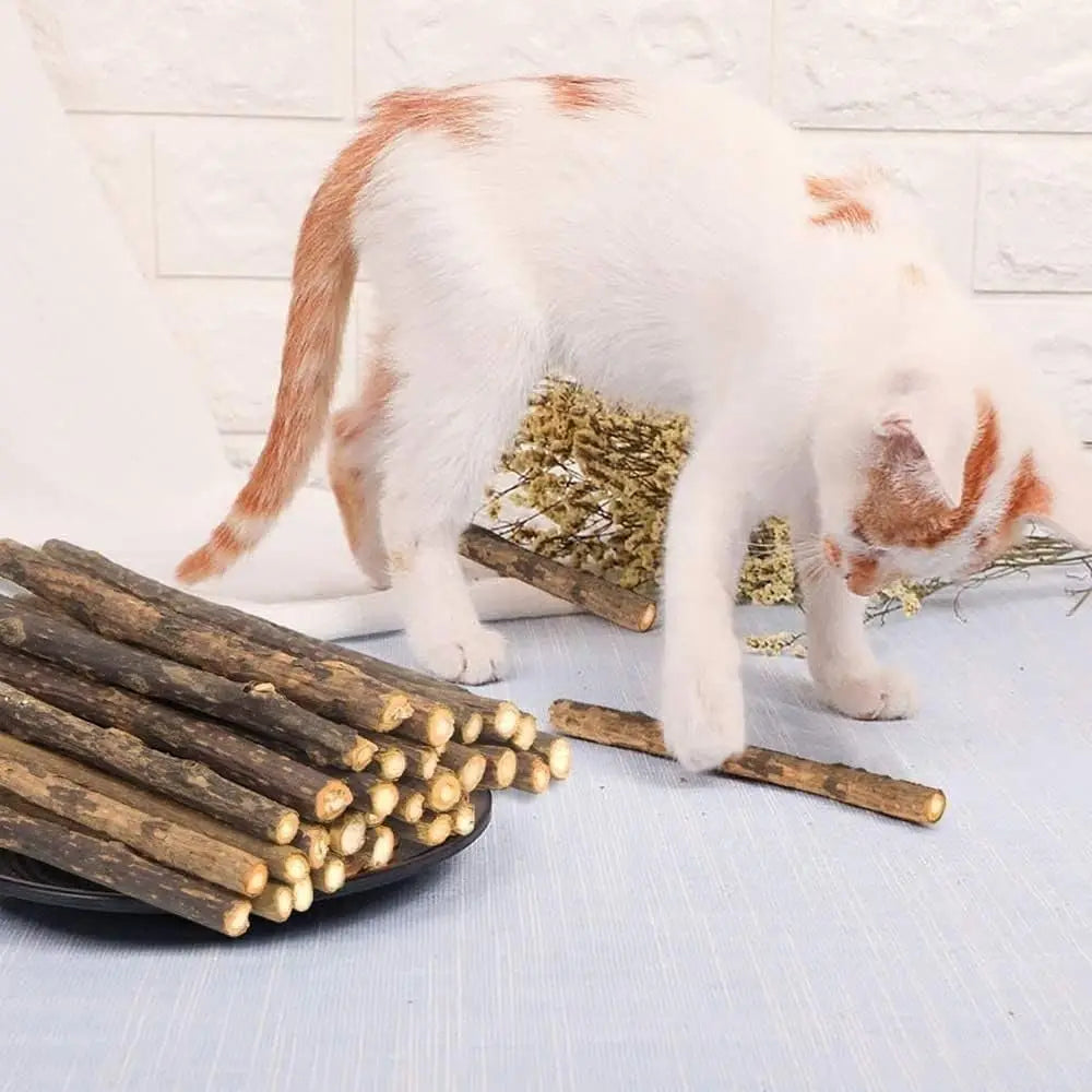 La Recharge : bâtonnets de silvervine — Miaoutfit