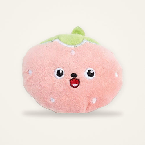 Coffret 5 fruits à l'herbe à chat — Miaoutfit