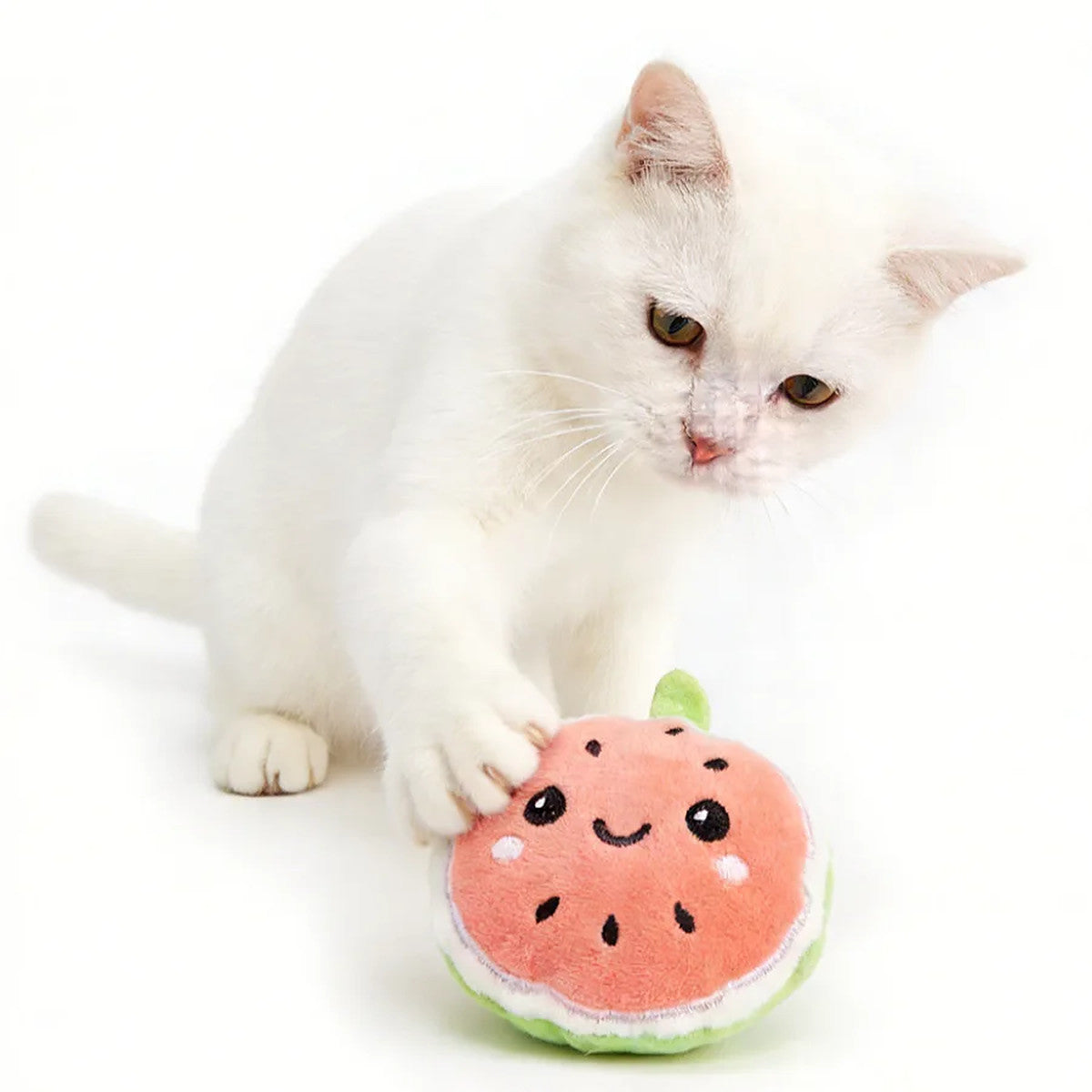 Coffret 5 fruits à l'herbe à chat — Miaoutfit